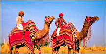 Exploring India, Tour Packages In India